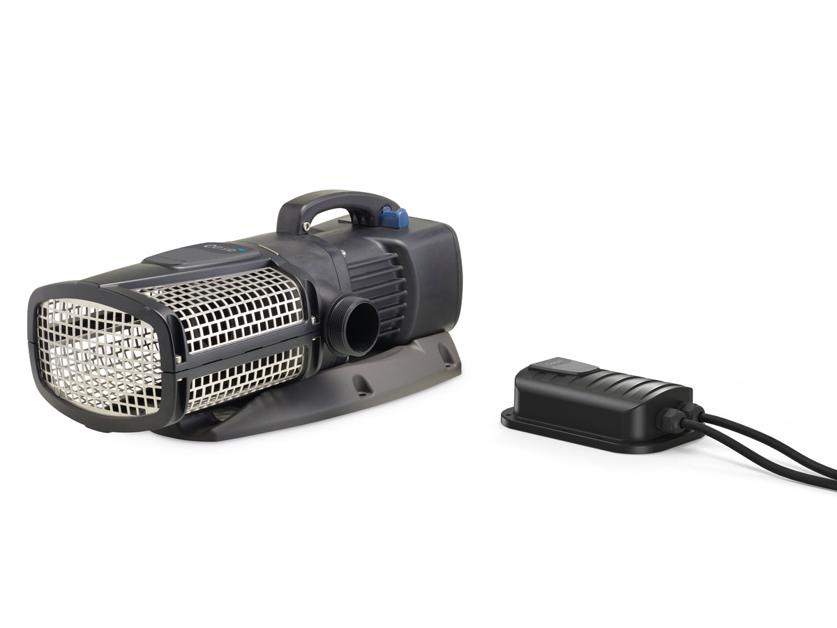 AquaMax Eco Expert 20000 / 12 V