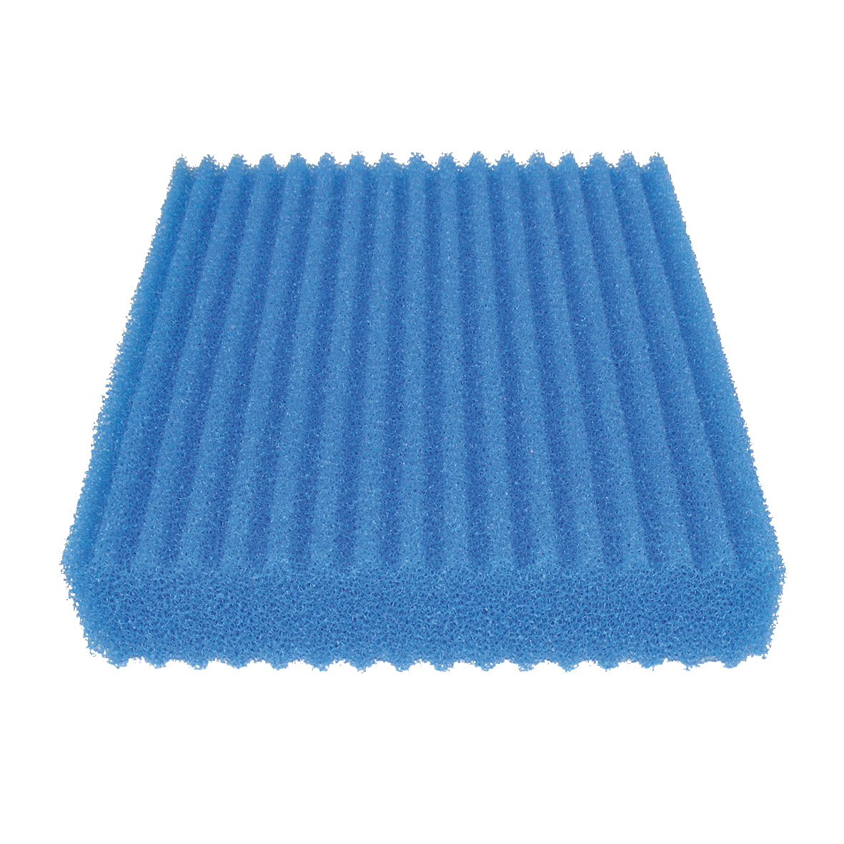 Ersatzschwamm blau breit ProfiClear M3