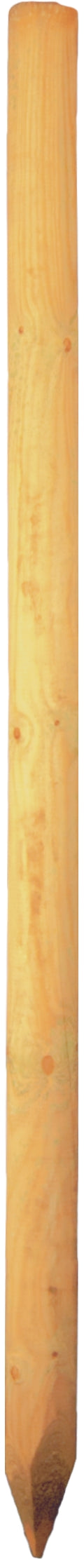 Baumpfahl  5 x 100 cm gefräst, gefast, gespitzt, kdi-grün