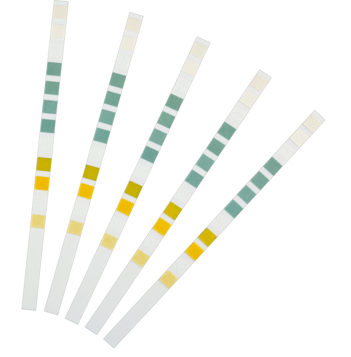 AquaActiv QuickSticks 6in1