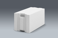 Porenbeton PPW4 0,50 - 0,13  499 x D x 249 mm