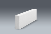 Porenbeton Bauplatte PPpl.-0,50 60/20cm