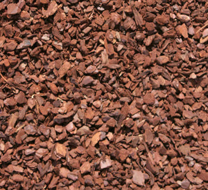 Eifelhum Pinienrinde "Dekor"