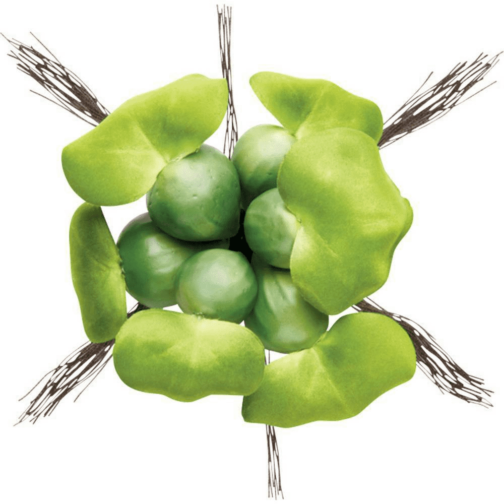 Pontec PondoHyacinth
